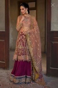 Sana Safinaz Stitched G223-001-CT