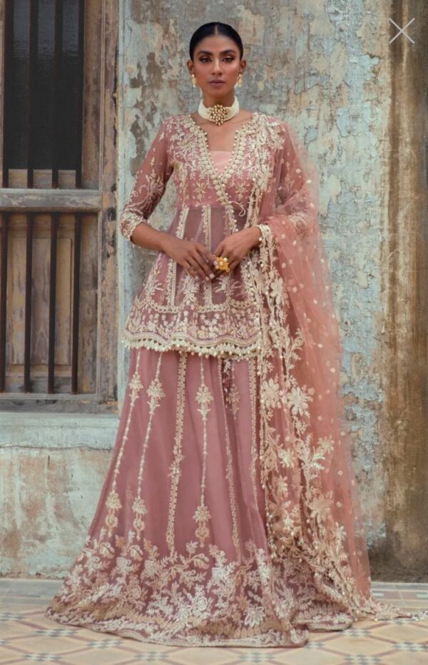 Sana Safinaz Stitched G223-005-CT