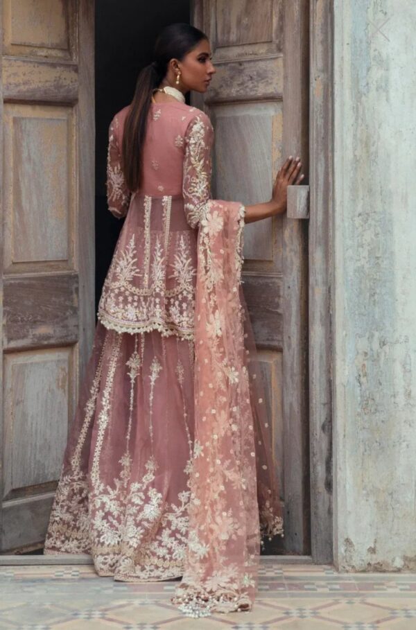 Sana Safinaz Stitched G223-005-CT - Image 3
