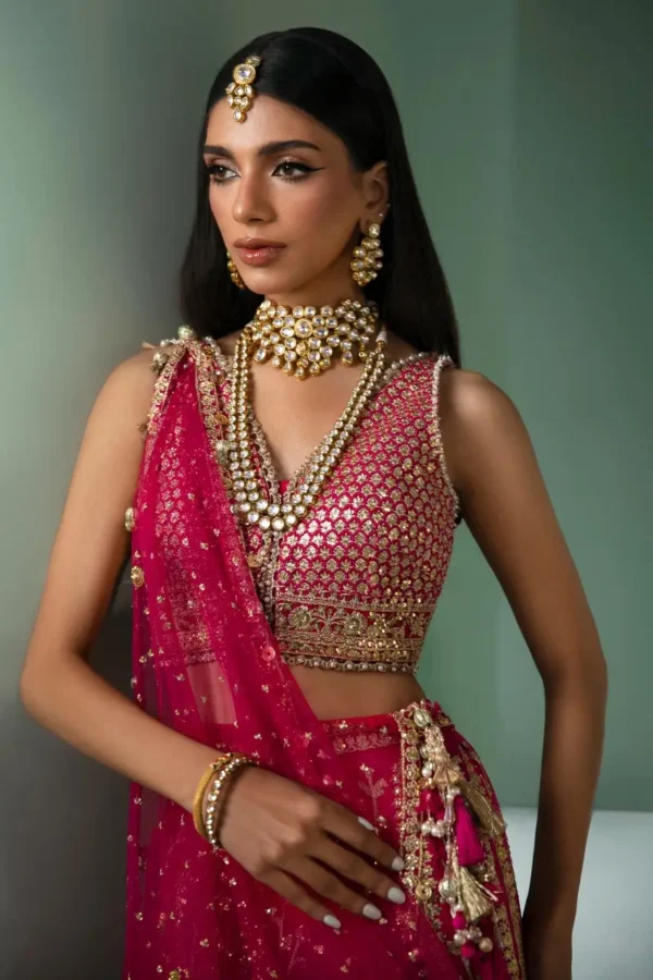 Sana Safinaz Stitched N233-004-CT - Image 6
