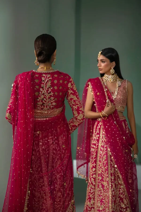 Sana Safinaz Stitched N233-004-CT - Image 3