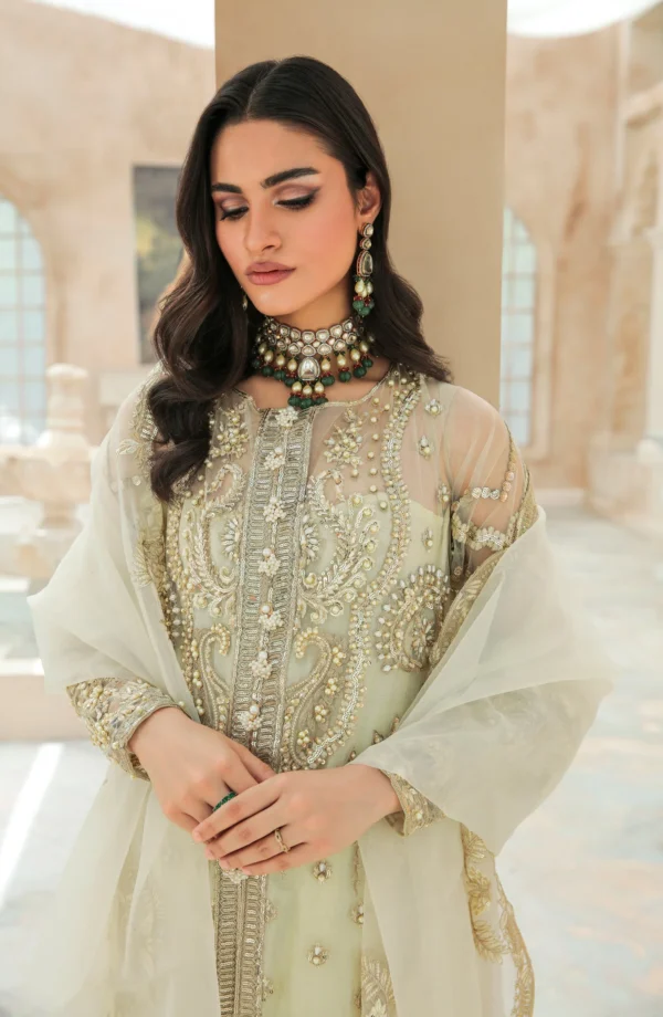 Maryum n Maria Stitched Formal Dress - Amber (FFG - 14) - Image 3