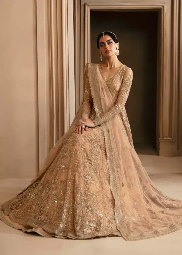 Akbar Aslam Stitched Aveline - Image 4