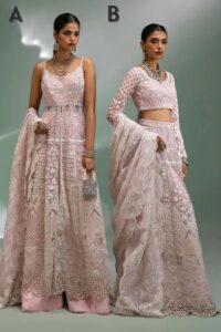 Sana Safinaz Stitched N233-002-CT