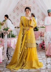 AKBAR ASLAM MEENA