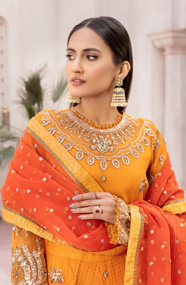 Maryum n Maria Stitched Formal Dress - Morange (MFD-0099) - Image 4