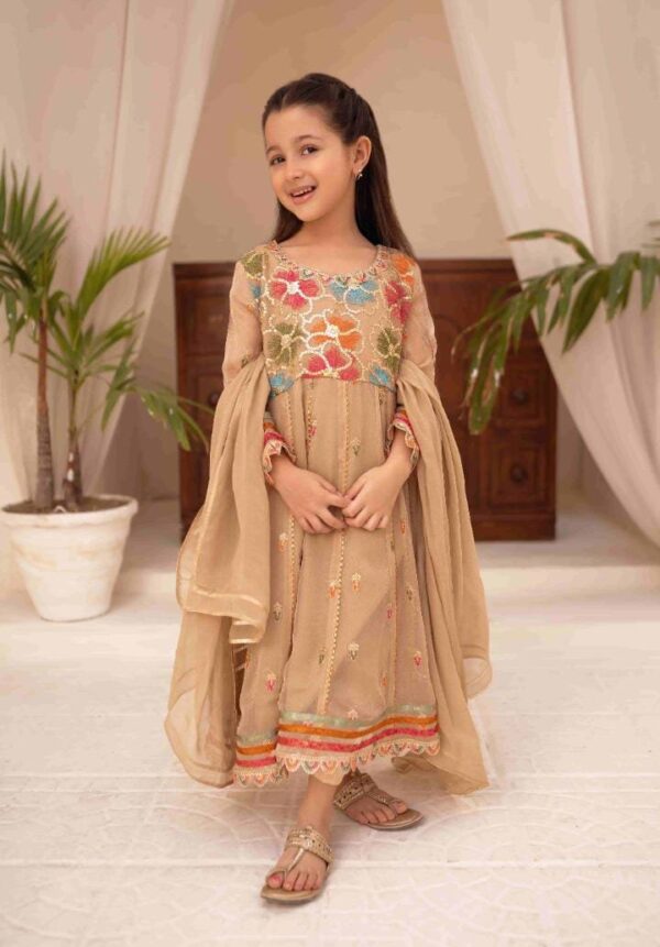 Mother Daughter 3PC Chiffon Collection. - Image 3