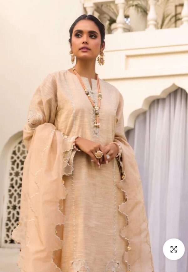 Alkaramstudio Stitched 3 Pc Embroidered Polyster Slub Suit With Organza Dupatta - Image 2