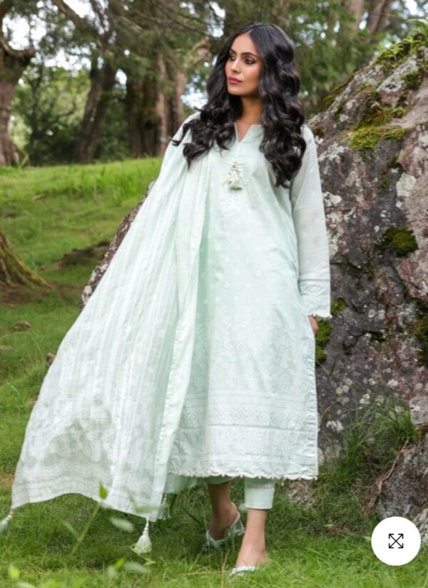 Alkaramstudio Stitched 3 Pc Printed Lawn Suit With Broschia Dupatta