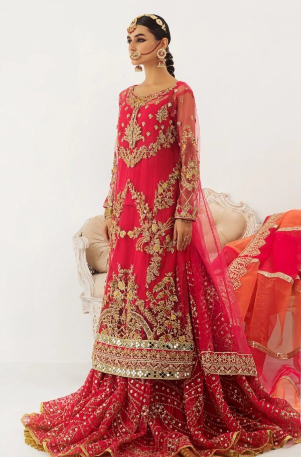 MNM 3PC Stitched Formal Dress - Jan-E-Adaa (QFD-0059) - Image 2