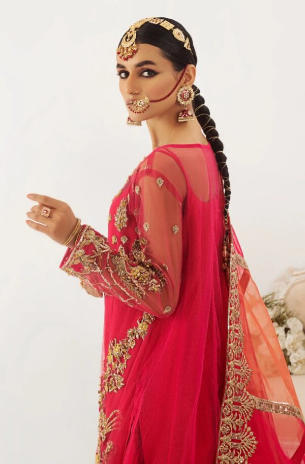 MNM 3PC Stitched Formal Dress - Jan-E-Adaa (QFD-0059) - Image 5