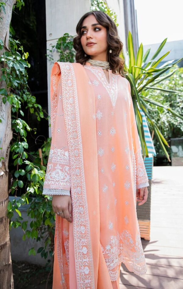 Aik 3PC Stitched LAWN '23 VOL. 2 - LOOK 03 A/B - Image 5