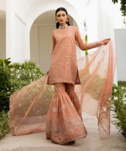 Sapphire Stitched 3 Piece - Embroidered Organza Suit