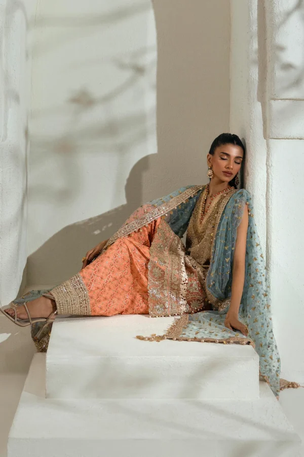 Sana Safinaz Nura Stitched N242-002-3CX - Image 6